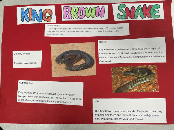Student work about king brown snakes.